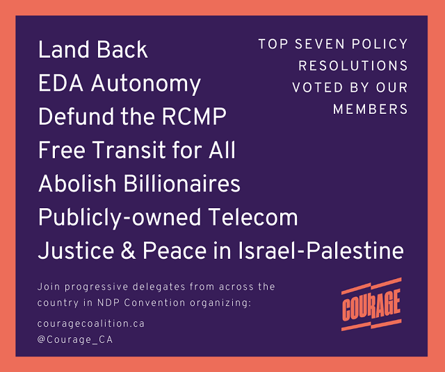 Priority Resolutions for the 2021 NDP Convention